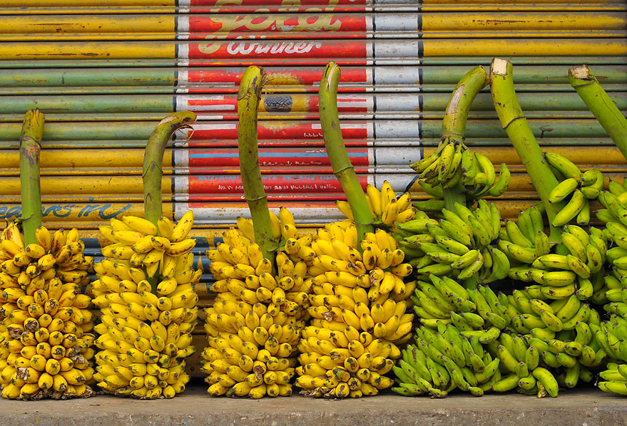 Chennai, bazar z bananami (Indie, jesień 2008, część pierwsza)